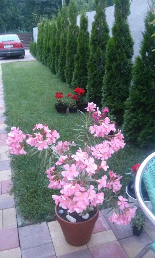 Holiday Home In Keszthely/Balaton 39648 Ngoại thất bức ảnh